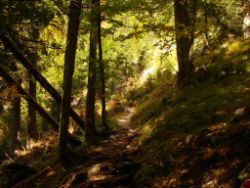 2013-10-08_Guffert (021).JPG